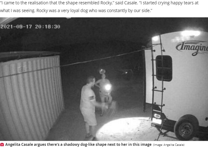監視カメラに映ったロッキー（画像は『The Daily Star　2021年9月30日付「Heartbroken dog owner shares ‘proof’ her loyal pet’s ghost appears with incredible photo」（Image: Angelita Casale）』のスクリーンショット）