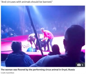女性からクマを引きはがそうとする男性2人（画像は『The Sun　2021年10月17日付「BEAR RAGE Horror moment ‘jealous’ brown bear attacks pregnant circus performer in front of screaming children」（Credit: East2West）』のスクリーンショット）