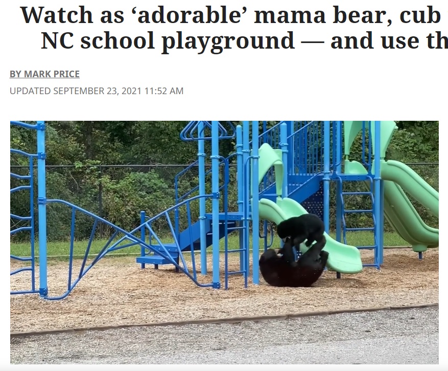 母グマも全力で我が子と遊ぶ（画像は『Charlotte Observer　2021年9月23日付「Watch as ‘adorable’ mama bear, cub take over NC school playground ― and use the slides」』のスクリーンショット）