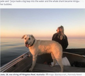 ボートに乗ってジェイドさんとダイビングにでかけるセイラー（画像は『The Mirror　2021年10月20日付「Labrador kisses massive whale shark on the nose during adorable meeting」（Image: ＠jadepursell_/Kennedy News）』のスクリーンショット）
