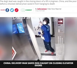 【海外発！Breaking News】エレベーターで宙吊りになった犬、宅配業者が危機一髪で救出（中国）＜動画あり＞