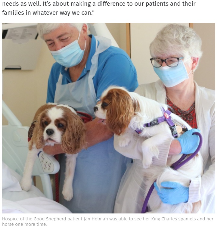 2匹の愛犬とも最後の別れを（画像は『Chester Standard　2021年10月7日付「Hospice of the Good Shepherd patient’s emotional reunion with her horse and pet dogs」』のスクリーンショット）
