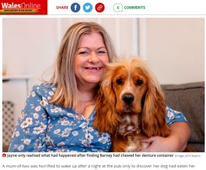 【海外発！Breaking News】愛犬に入れ歯を食べられた！　1か月も歯抜け生活を余儀なくされた女性（英）