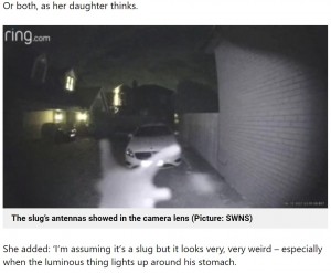 【海外発！Breaking News】深夜の“訪問者”に身構えた女性　防犯カメラに映った犯人に「エイリアン？」（英）＜動画あり＞