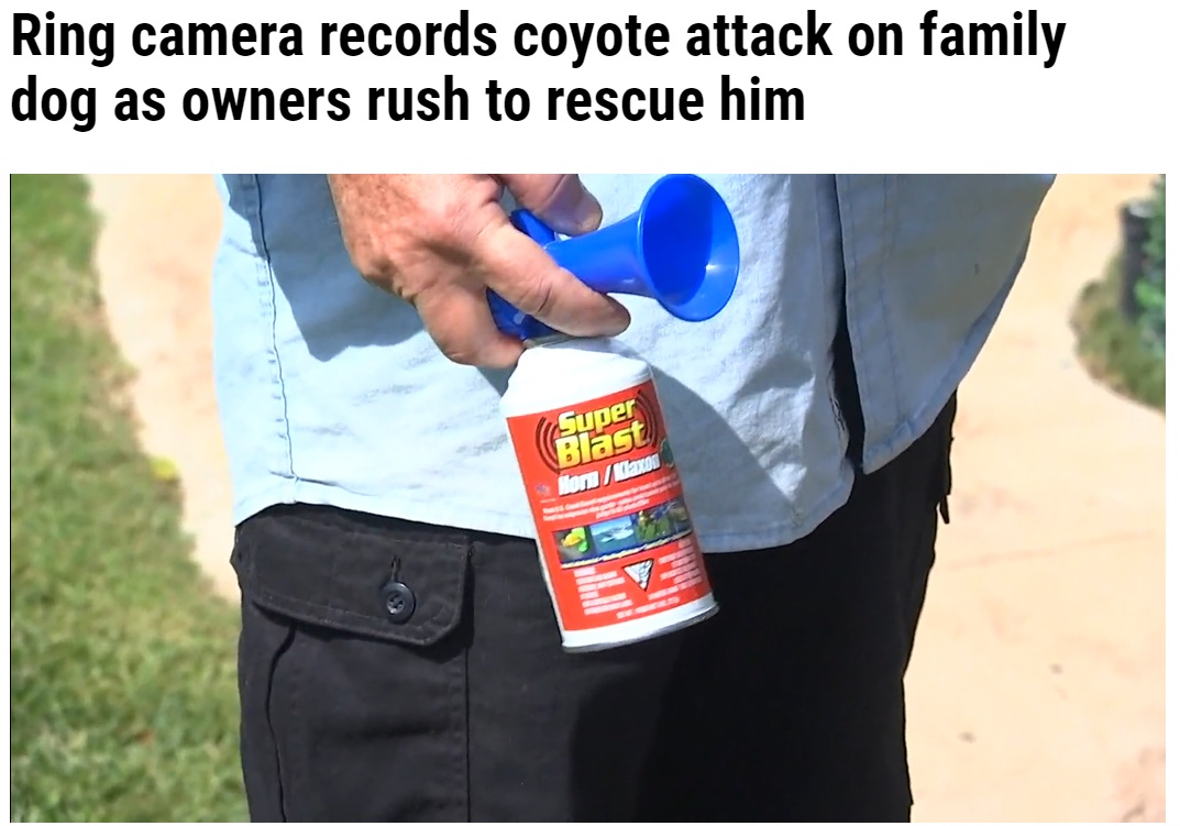 コヨーテ対策のため複数用意していたエアホーン（画像は『WFLA　2021年10月9日付「Ring camera records coyote attack on family dog as owners rush to rescue him」』のスクリーンショット）