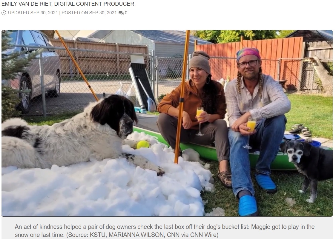 大好きな冷たい雪を飼い主と一緒に楽しんだマギー（画像は『FOX Carolina　2021年9月30日付「WATCH: Dog battling cancer gets her final wish - a snow pile - thanks to ice rink」（Source: KSTU, MARIANNA WILSON, CNN via CNN Wire）』のスクリーンショット）