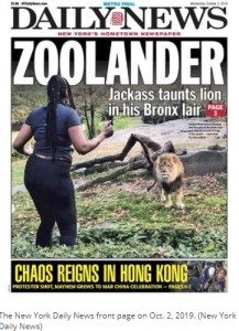 2019年のニュース記事（画像は『NY Daily News　2021年11月12日付「NYC Bronx Zoo cat lady returns to harass lions」（New York Daily News）』のスクリーンショット）