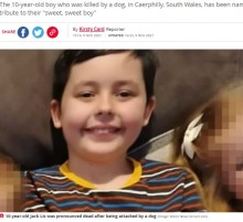 【海外発！Breaking News】友人宅でピットブルに襲われた10歳男児が死亡、数日前にも腕を噛む事故（英）