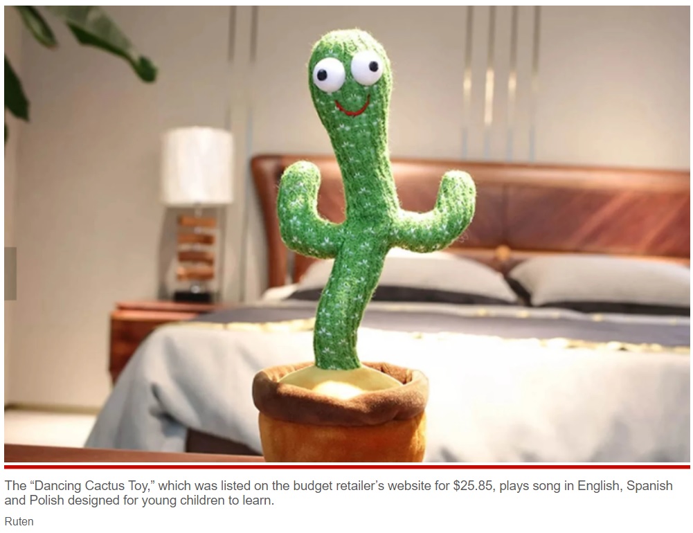 子供に人気の踊るサボテンのおもちゃ（画像は『New York Post　2021年11月25日付「Walmart removes dancing cactus toy that plays song about cocaine use」（Ruten）』のスクリーンショット）
