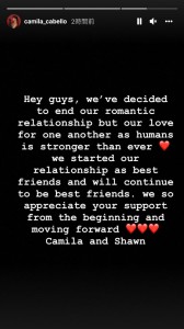 Instagramストーリーでショーンとの破局を伝えたカミラ（画像は『camila　2021年11月17日付Instagram』のスクリーンショット）