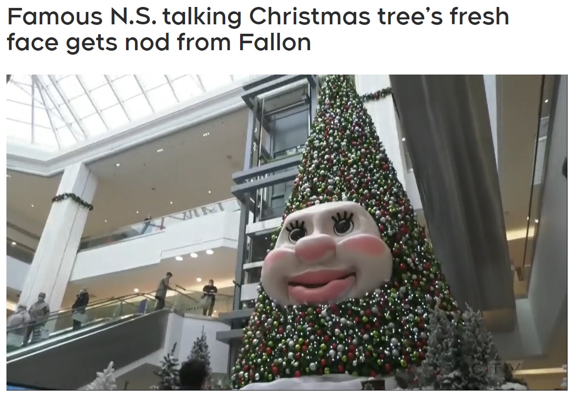 大きな顔が取り付けられた不思議なクリスマスツリー（画像は『Atlantic News　2021年11月25日付「Famous N.S. talking Christmas tree’s fresh face gets nod from Fallon」』のスクリーンショット）