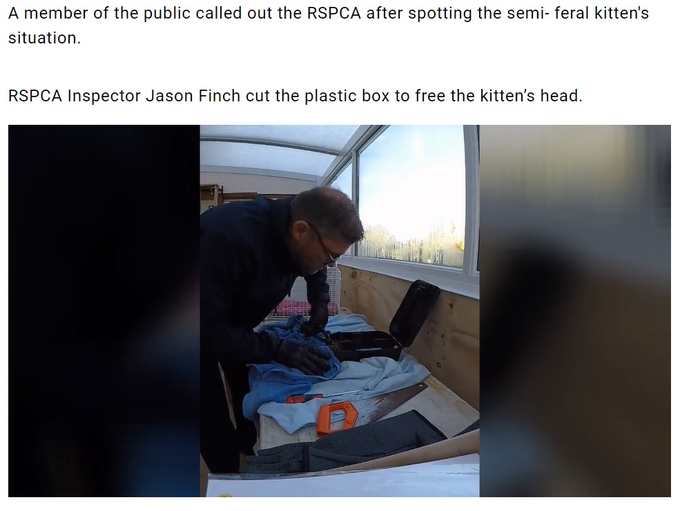 子猫の救出は神経を削るような慎重な作業に（画像は『Dunmow Broadcast　2021年11月18日付「Video: RSPCA rescues 'totally stuck' kitten」』のスクリーンショット）