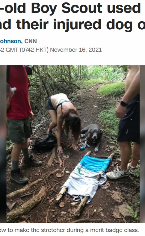 あり合わせのもので作り上げた即席の担架（画像は『CNN　2021年11月16日付「A 12-year-old Boy Scout used his skills to rescue a lost couple and their injured dog on a trail in Hawaii」（COURTESY CHRISTINE ＆ DAVID KING）』のスクリーンショット）