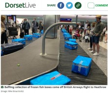 【海外発！Breaking News】空港でスーツケースの代わりに流れてきた大量の冷凍の魚　乗客激怒「なぜこんなことに!?」（英）