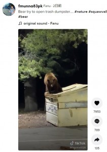 店内に入る前には外のゴミ箱を漁っていたクマ（画像は『Fanu　2021年11月15日付TikTok「Bear try to open trash dumpster…」』のスクリーンショット）