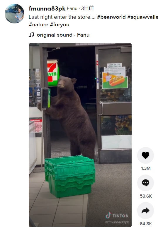 ドアを開けて店内に侵入したクマ（画像は『Fanu　2021年11月14日付TikTok「Last night enter the store…」』のスクリーンショット）