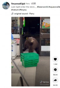 叫び続ける店員とは対照的に、クマは落ち着いた様子で店内を見渡していた（画像は『Fanu　2021年11月14日付TikTok「Last night enter the store…」』のスクリーンショット）