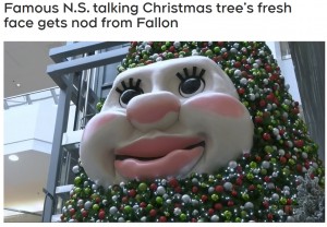 フサフサまつ毛にぱっちりとした目が「可愛い」という声も（画像は『Atlantic News　2021年11月25日付「Famous N.S. talking Christmas tree’s fresh face gets nod from Fallon」』のスクリーンショット）