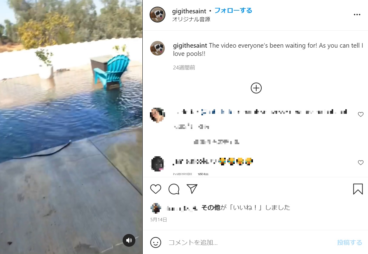 洪水でも起きたのかと思うほど大量の水が庭に流れ出していた（画像は『Gigi Stands for Good Girl　2021年5月14日付Instagram「The video everyone’s been waiting for!」』のスクリーンショット）