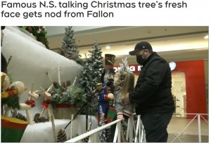 ツリーが一方的に話すだけでなく、マイクを使って会話もできるように（画像は『Atlantic News　2021年11月25日付「Famous N.S. talking Christmas tree’s fresh face gets nod from Fallon」』のスクリーンショット）