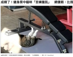 【海外発！Breaking News】ジムでストイックに腹筋運動する猫に「自己管理がすごい」の声（中国）＜動画あり＞