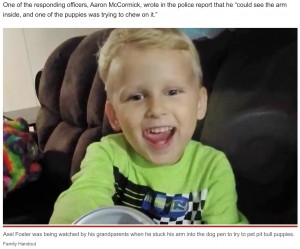 【海外発！Breaking News】ピットブルの檻に手を入れた4歳男児、右腕を噛みちぎられる（米）