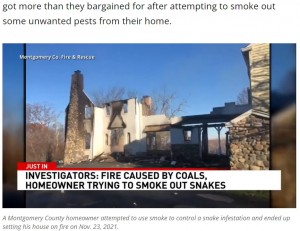 消火後に残ったのは一部の壁のみ（画像は『WJLA　2021年12月3日付「Maryland homeowner sets house ablaze attempting to smoke out snake infestation」』のスクリーンショット）