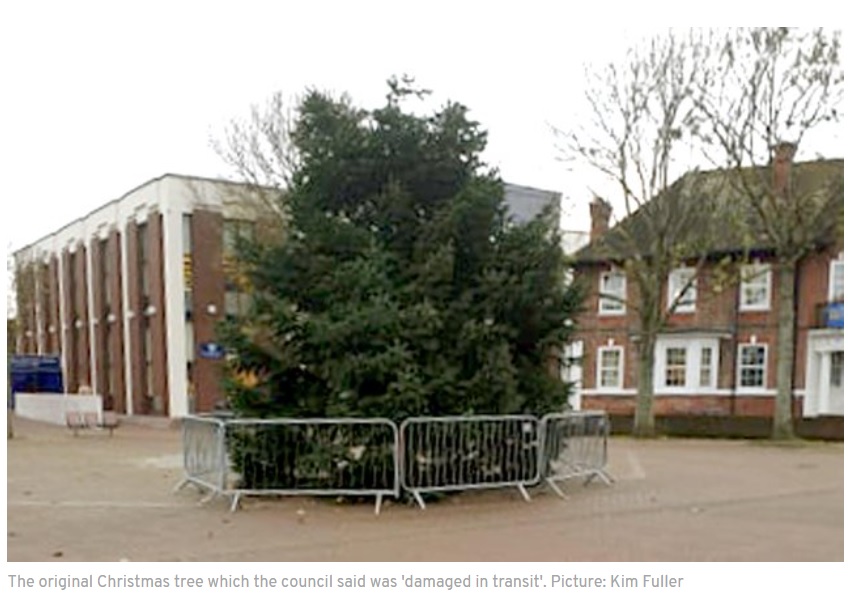 2019年にも、お粗末なクリスマスツリーで問題が起きていた（画像は『Portsmouth News　2019年11月27日付「Gosport residents’ anger over ‘half a bush’ Christmas tree」（Picture: Kim Fuller）』のスクリーンショット）