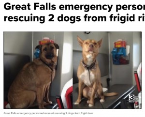 一時ショック状態に陥ったが、2匹とも無事に回復（画像は『KRTV　2021年12月28日付「Great Falls emergency personnel recount rescuing 2 dogs from frigid river」』のスクリーンショット）