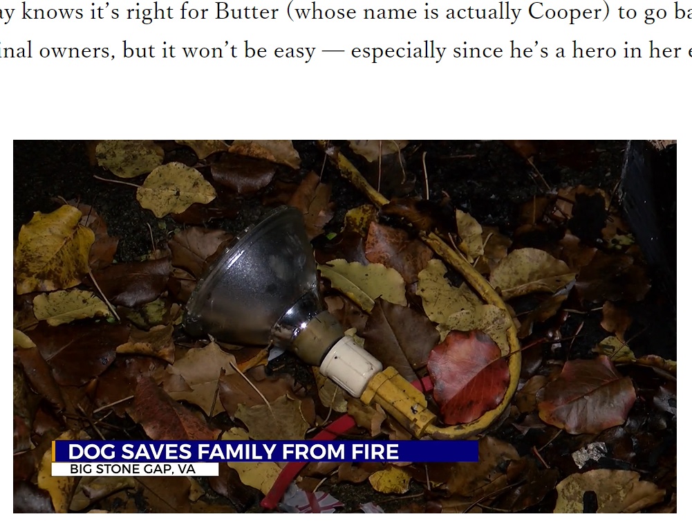 暖を取るために設置されたランプが火事の原因に（画像は『The Western Journal　2021年12月6日付「After Stray Dog Saves Family from Fire, Owners Recognize Him from Viral Post」』のスクリーンショット）