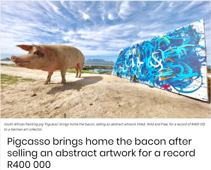 テーブルマウンテンをバックに作品を仕上げるピッグカソ（画像は『IOL　2021年12月22日付「Pigcasso brings home the bacon after selling an abstract artwork for a record R400 000」』のスクリーンショット）