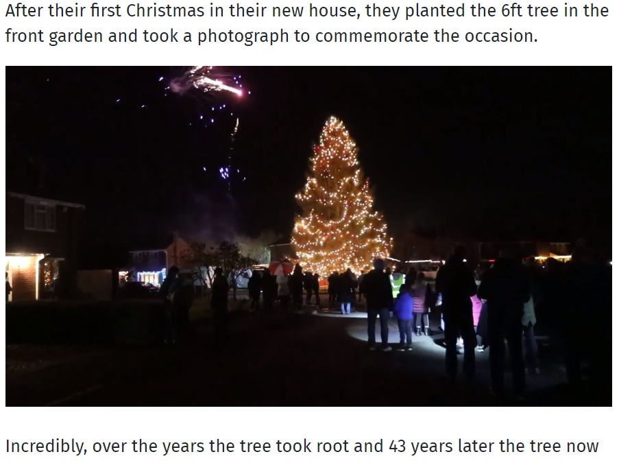 近隣住民も毎年、このクリスマスツリーの点灯を心待ちに（画像は『Redditch Advertiser　2021年12月7日付「VIDEO: Inkberrow couple light up sky with 50ft Christmas tree」』のスクリーンショット）