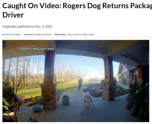 玄関先に置かれた荷物をくわえて配達員を追いかけていく（画像は『CBS Minnesota　2021年12月3日付「Caught On Video: Rogers Dog Returns Package To Delivery Driver」（CREDIT: MEGAN SAND）』のスクリーンショット）