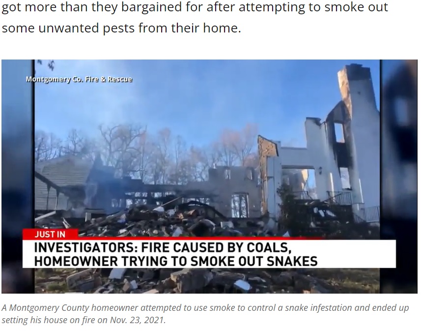 「家は燃えたがヘビは退治できた」など皮肉めいたコメントも（画像は『WJLA　2021年12月3日付「Maryland homeowner sets house ablaze attempting to smoke out snake infestation」』のスクリーンショット）
