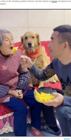 【海外発！Breaking News】祖母のフルーツを横取りする孫に「無礼者！」と怒り出す犬＜動画あり＞