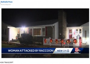 アライグマに襲われたドンナさんの自宅前（画像は『WCVB　2021年12月7日付「Raccoon attacks 70-year-old Massachusetts woman as she was putting up Christmas lights」』のスクリーンショット）