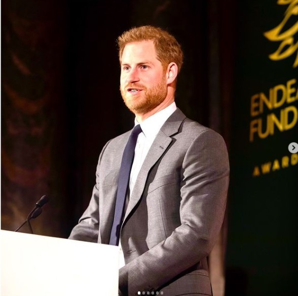 コロナ禍による失業率加速について持論を述べたヘンリー王子（画像は『The Duke and Duchess of Sussex　2019年12月9日付Instagram「Spotlight on: Endeavour Fund」』のスクリーンショット）