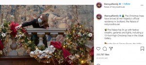 大階段に飾られた煌びやかな装飾のガーランド（画像は『The Royal Family　2021年12月4日付Instagram「The Christmas trees have arrived at Her Majesty’s official residence in Scotland, the Palace of Holyroodhouse!」』のスクリーンショット）