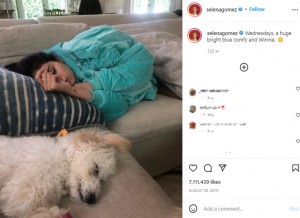 2019年にセレーナが初披露したウィニーの姿（画像は『Selena Gomez　2019年8月28日付Instagram「Wednesdays, a huge bright blue comfy and Winnie.」』のスクリーンショット）