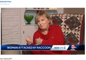 当時の出来事を振り返るドンナさん（画像は『WCVB　2021年12月7日付「Raccoon attacks 70-year-old Massachusetts woman as she was putting up Christmas lights」』のスクリーンショット）