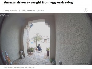 はじめは穏やかに尻尾を振っていたピットブル（画像は『KSNV　2021年12月17日付「Amazon driver saves girl from aggressive dog」』のスクリーンショット）