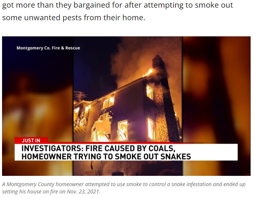 煙でヘビを追い出したかった結果、家が全焼（画像は『WJLA　2021年12月3日付「Maryland homeowner sets house ablaze attempting to smoke out snake infestation」』のスクリーンショット）