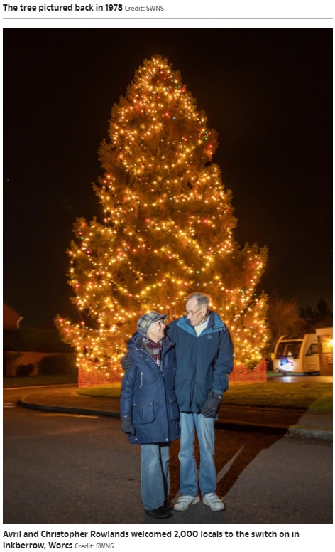 43年かけて巨大に成長したモミの木（画像は『The Sun　2021年12月7日付「COME TALL YE FIRTHFUL Christmas tree planted in couple’s garden 43 years ago is now a staggering 50ft tall」（Credit: SWNS）』のスクリーンショット）