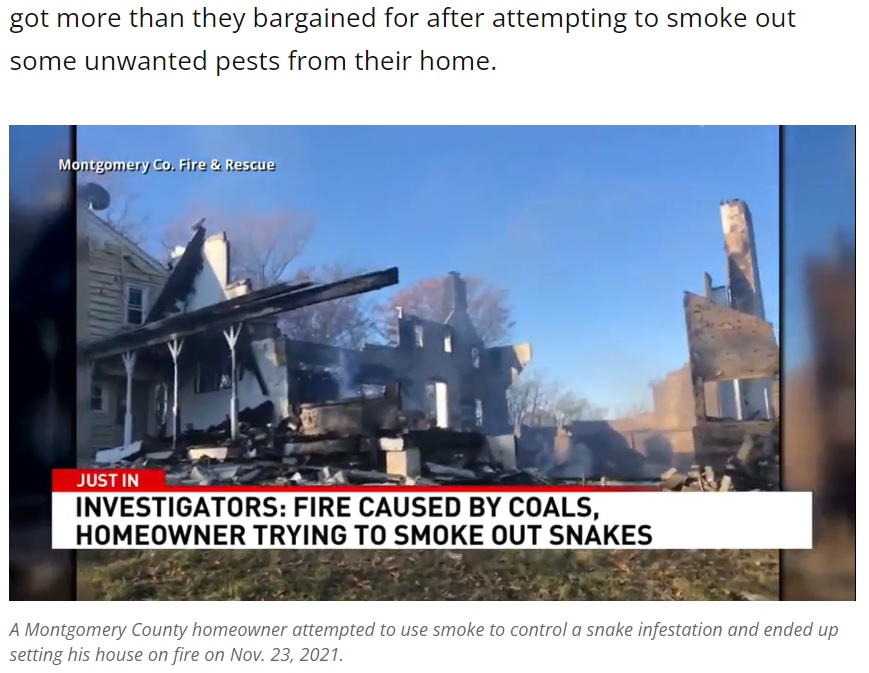 約2億円で購入した家が一夜にして瓦礫の山に（画像は『WJLA　2021年12月3日付「Maryland homeowner sets house ablaze attempting to smoke out snake infestation」』のスクリーンショット）