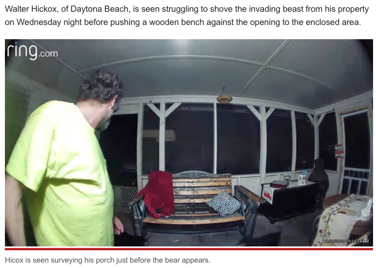 犬が遊んでいる玄関ポーチに突然やって来た熊（画像は『New York Post　2022年1月21日付「Chilling video captures Florida man fighting off bear to protect his dogs」（ViralHog）』のスクリーンショット）
