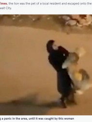 【海外発！Breaking News】ライオンを抱きかかえて夜道を歩く女性の動画が物議を醸す（クウェート）＜動画あり＞