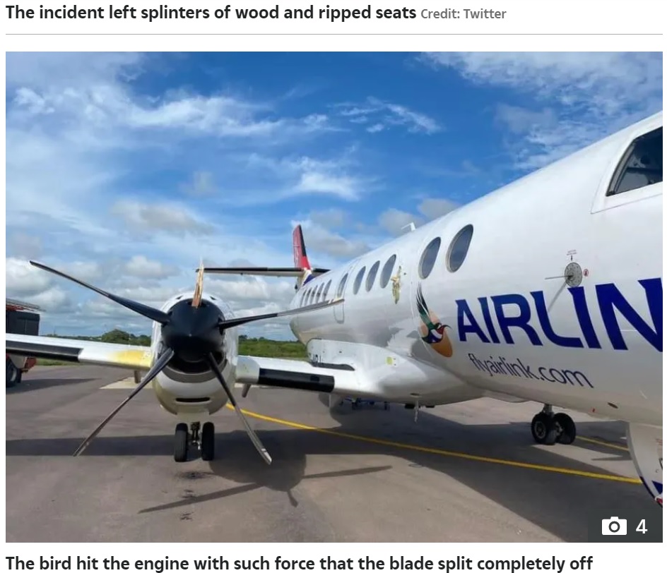 5本のプロペラの羽根のうち1本が破損（画像は『The Sun US　2022年1月5日付「WHAT THE FLOCK Plane horror as propeller smashes through WINDOW after hitting bird leaving passengers terrified」』のスクリーンショット）