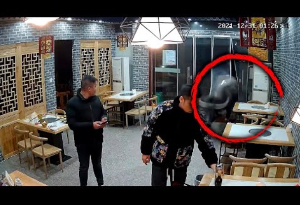 レストランに侵入した水牛（画像は『Inside Edition　2022年1月7日公開 YouTube「Bull Busts Into Restaurant and Charges Customer」』のサムネイル）