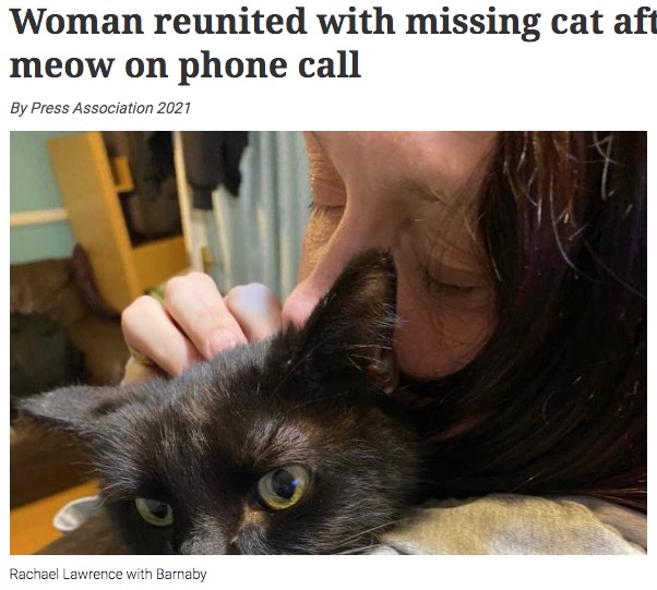 8か月前に行方不明になった愛猫とようやく再会した飼い主（画像は『The Northern Echo　2022年1月18日付「Woman reunited with missing cat after recognising his meow on phone call」』のスクリーンショット）