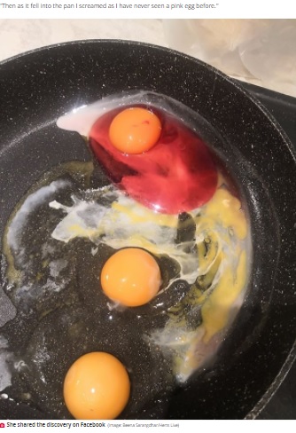 他の卵は異常なし（画像は『The Daily Star　2022年1月14日付「Horrified woman ‘screams’ as she discovers unlikely pink egg in frying pan」（Image: Beena Sarangdhar/Herts Live）』のスクリーンショット）